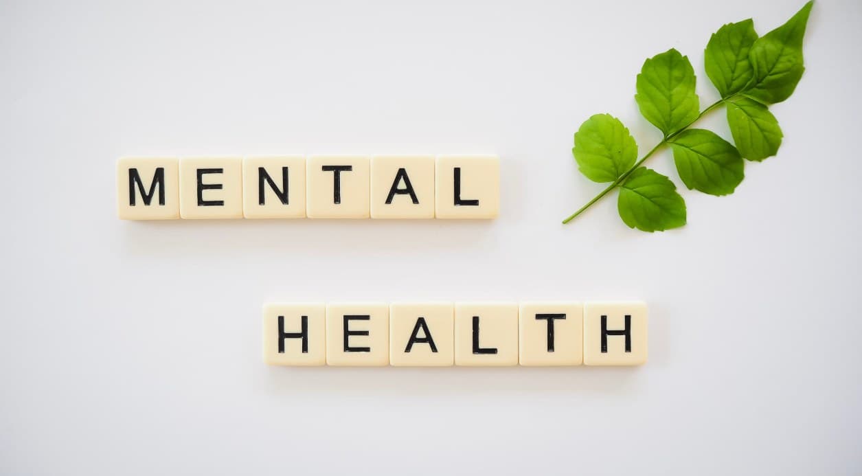 Piese cu litere care formează cuvintele „Mental Health”, lângă o rămurică verde